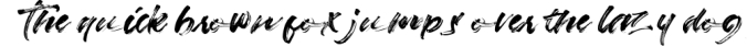 Strade Eqrem | Freehand Brush Script Font Preview
