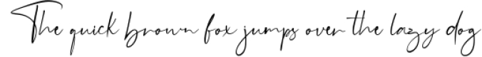 Boilgo - Luxury Signature Font Font Preview