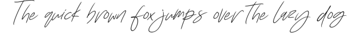 Insatiable Script Font Font Preview