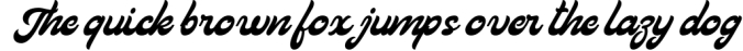 Calligraphic fonts Bundle Font Preview