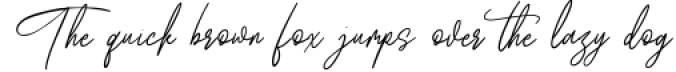 Wellfare - Handwritten Swash Font Font Preview