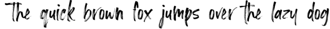 Loutters | Handwritten Brush Font Font Preview