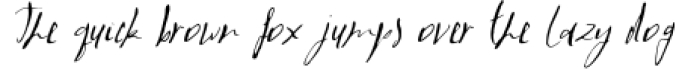 LaPayne Font Font Preview