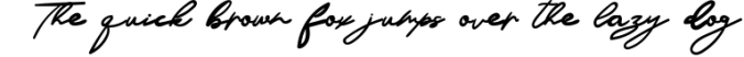 Simonray - Signature Font Font Preview