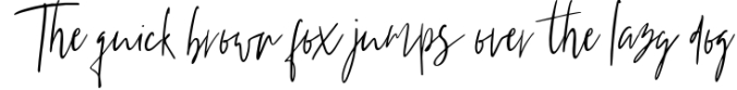 Stadella Signature Script Font Preview