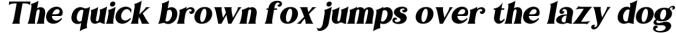 Bilderberg | Luxury Bold Serif Font Preview