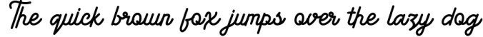 American Lemon Font Duo Font Preview