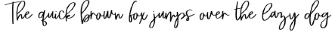 Bitte Handwriting Script Font Font Preview