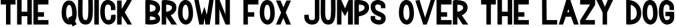 Trevor - Elegant Sans Serif Family Font Font Preview