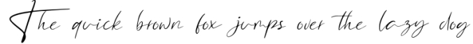 North Little Signature Font Font Preview