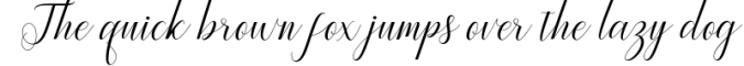 Princella Script | 5 Font Font Preview