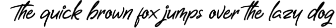 Letterally Handwritten Elegant Font Font Preview