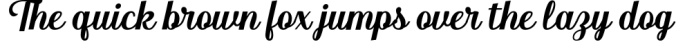 FONT BUNDLE COLLECTION Font Preview