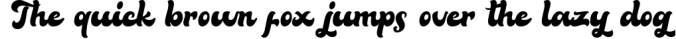 Bella - Vintage Script Font Font Preview