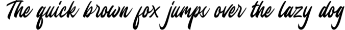 Jesselyne Script Clean & Rough Font Preview