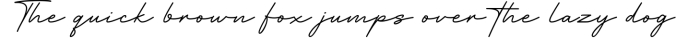 Hertine - Monoline Signature Font Preview