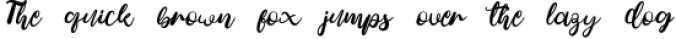 I love January Bounce Script Calligraphy Font Preview