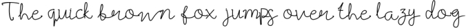 Best Signature Fonts Font Preview