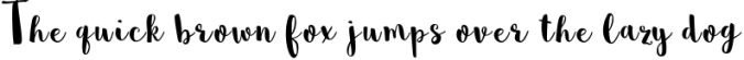 Portabello Script Font Preview