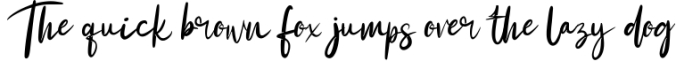 Britney | Modern Script Font Font Preview