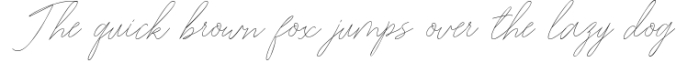 Washington Signature Font Preview