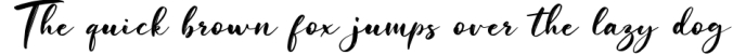 Savanah, a Brush Script Font Font Preview