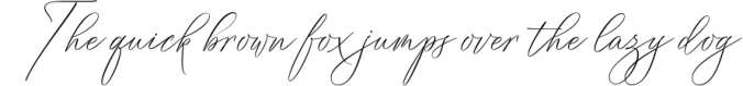 Vignette Signature Script Font Preview