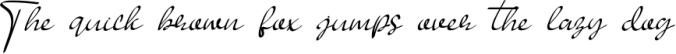 BUNDLE FONT SCRIPT COLECTION Font Preview