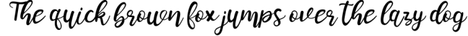 hailyna Font Preview