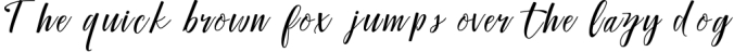 Peyton Script Typeface Font Preview