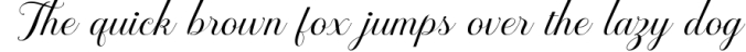Brignola Elegant Calligraphy Font Preview