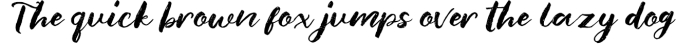 Blank Monkey Font Preview