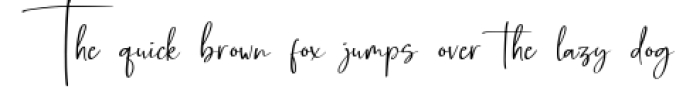 Huston - Script Handwritten Font Font Preview