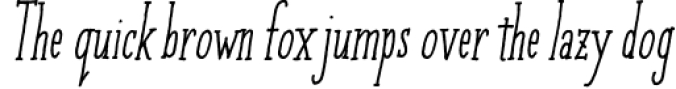 Cherripops Serif Bold Italic Font Preview