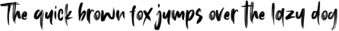 Roosevelt SVG Brush Font Font Preview