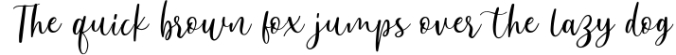 Anjani Script Modern Calligraphy Font Preview