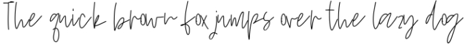 Wildflowers - A Handwritten Script Font Font Preview