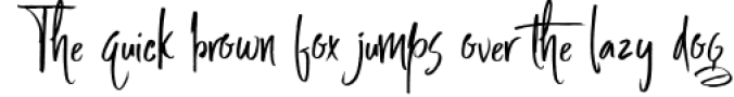 Manifesto FONTS TRIO Font Preview
