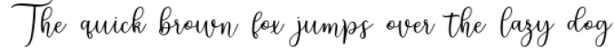 Ningsih Script | Luxury Font Font Preview