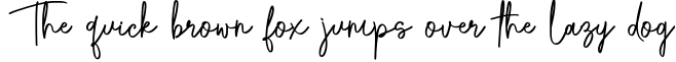 Longve || Elegant Handwriting Font Font Preview