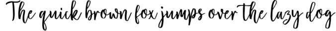 Blossomed Script Font Preview