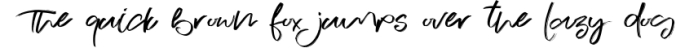 Jameican Blue Script Font Font Preview