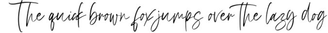 Brilliant Signature Logotype Font Font Preview