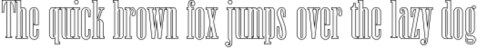Newston - Stylish Serif Font Font Preview