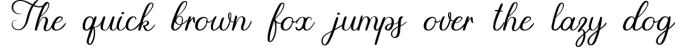 Spaigo. Handwritten script font Font Preview