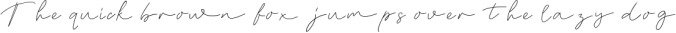 Syalatan - The Handwritten Signature Font Preview
