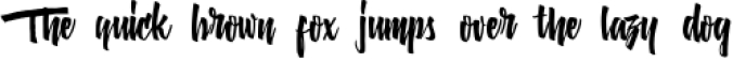 Austtin Type Font Preview