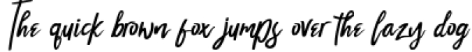 Melvina Wayne - Luxury Script Font Font Preview