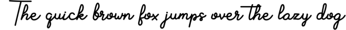 Aluria - Signature Font Font Preview