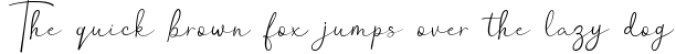 Hanston | Luxury Signature Font Font Preview